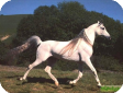 Остфризская 