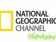 National Geographic Wild: эксклюзивно для посетителей MyPets.BY
