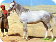 Локайская (Lokai)