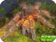 Acanthoscurria chacoana