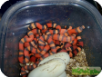 Lampropeltis triangulum hondurensis