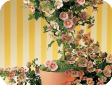 Anisodontea halvastrum