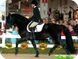 Канадская (The Canadian Horse) 
