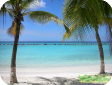 Cocos