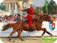 Украинская Верховая (Ukrainian Riding)