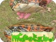 Pseudemys felis (Кошачья болотная украшенная) 