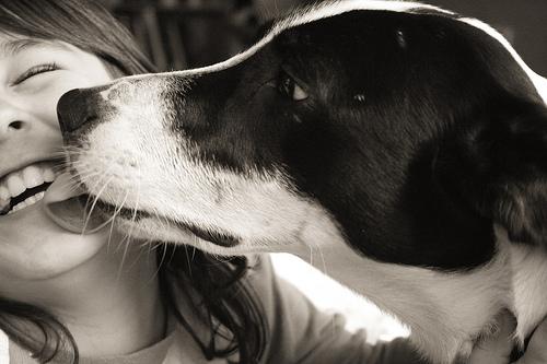 https://mypets.by/wp-content/uploads/2010/02/163219193_0b0dd4fd87.jpg