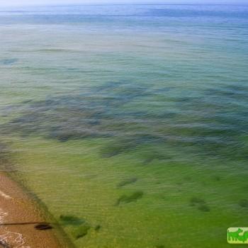Европарламент одобрил программу защиты Балтийского моря