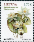 Nymphaea Candida