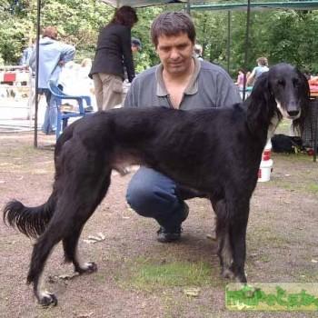 Тазы