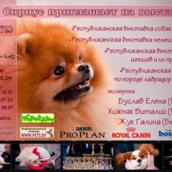 Приглашаем на выставки!