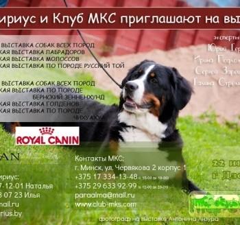 Фотоотчёт с выставки собак в Дзержинске