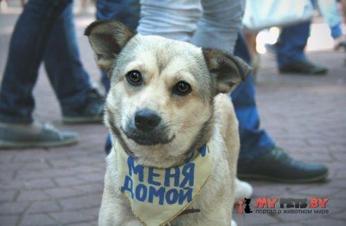 Доброта в каждом сердце