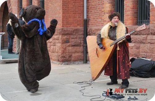 милые животные