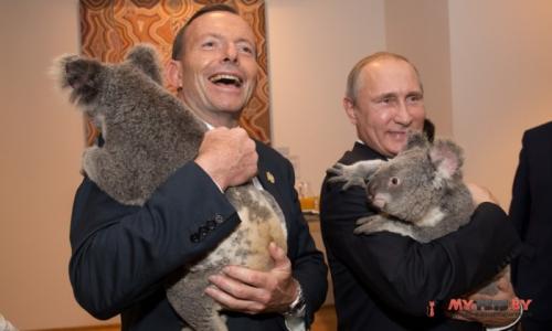 Путин, коала