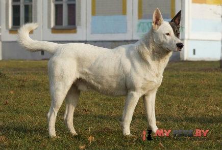 DSC00206-1.jpg меньше