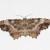 Hypagyrtis unipunctata