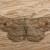 Ectropis excursaria