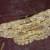 Hypomecis costaria