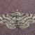 Cleora sublunaria