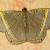Phrygionis privignaria