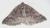 Lomographa distinctata