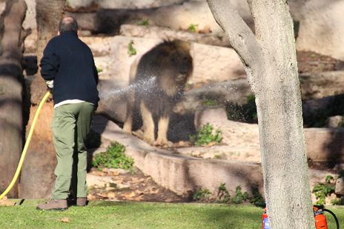 zoo_04