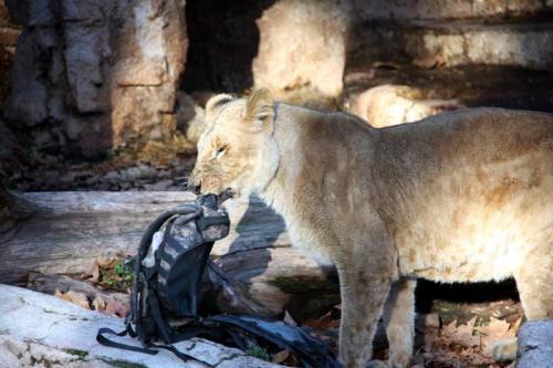 zoo_05