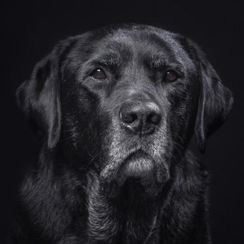 1_2_20141123_1238729615