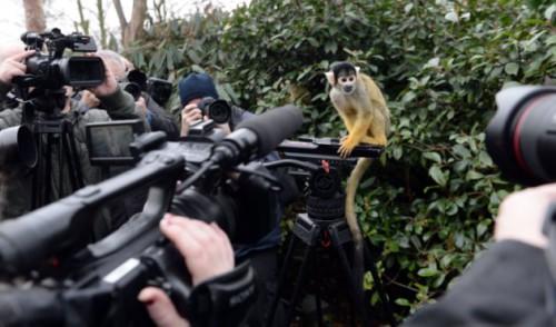 London Zoo's annual stock take