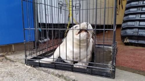 1424025573_stream_img