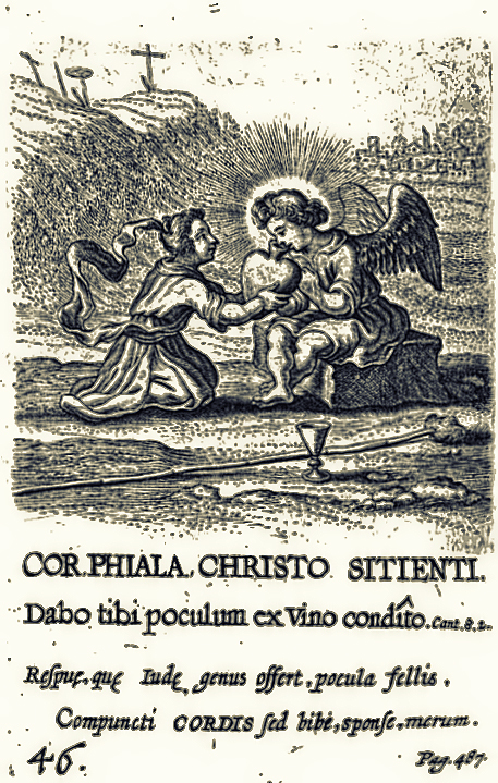 Phiala (Род)
