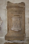 Voltinia