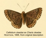 Callistium