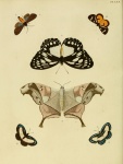 Dysdaemonia