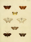 Therinia