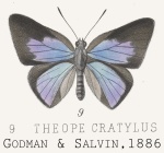 Theope
