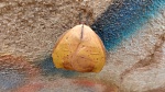 Hyperchiria
