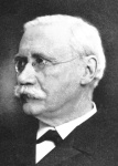 Aurivillius