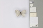 Uranobothria