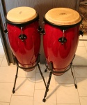 Conga