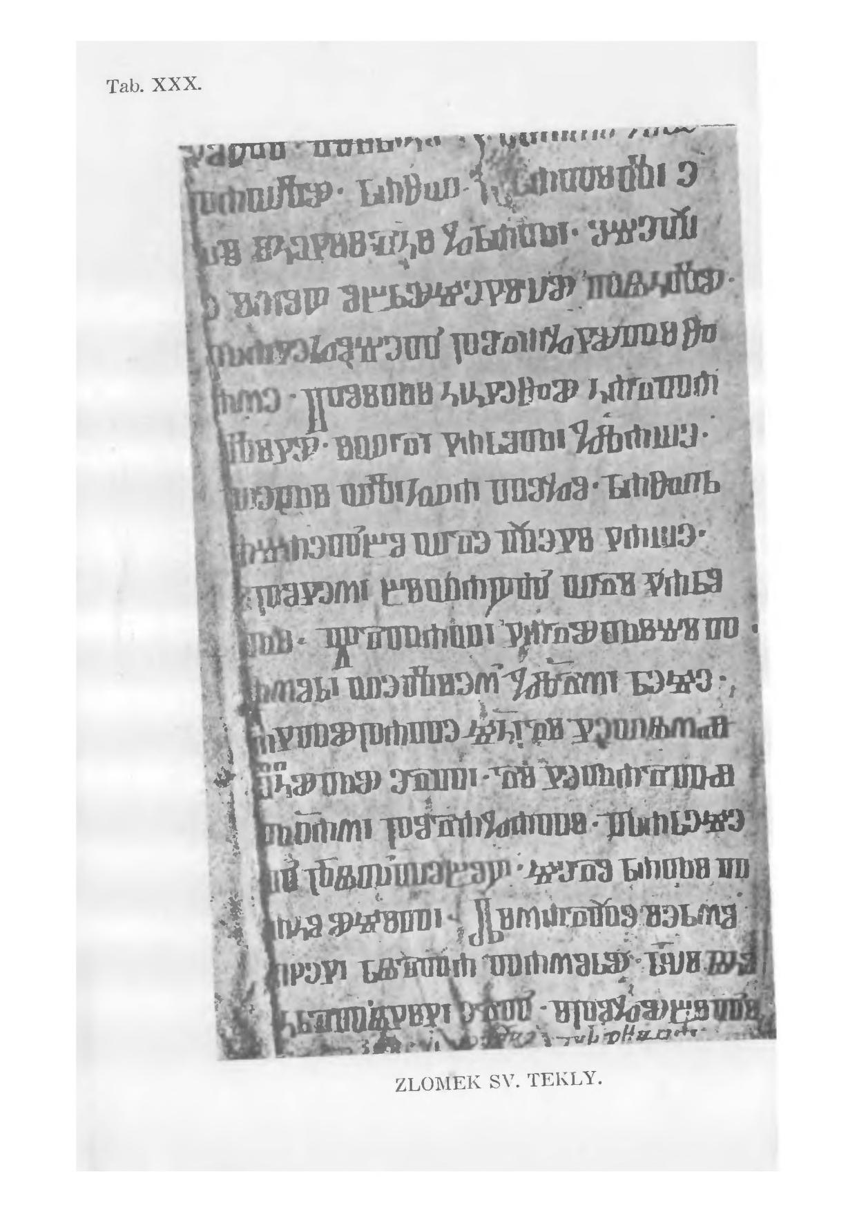 Thecla (Род)
