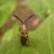 Nemophora aurifera