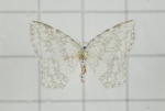 Zusidava