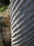 Salamis