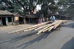 Phulia