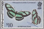 Philaethria