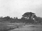 Gangara