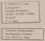 Paralethe