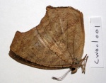 Cyllogenes